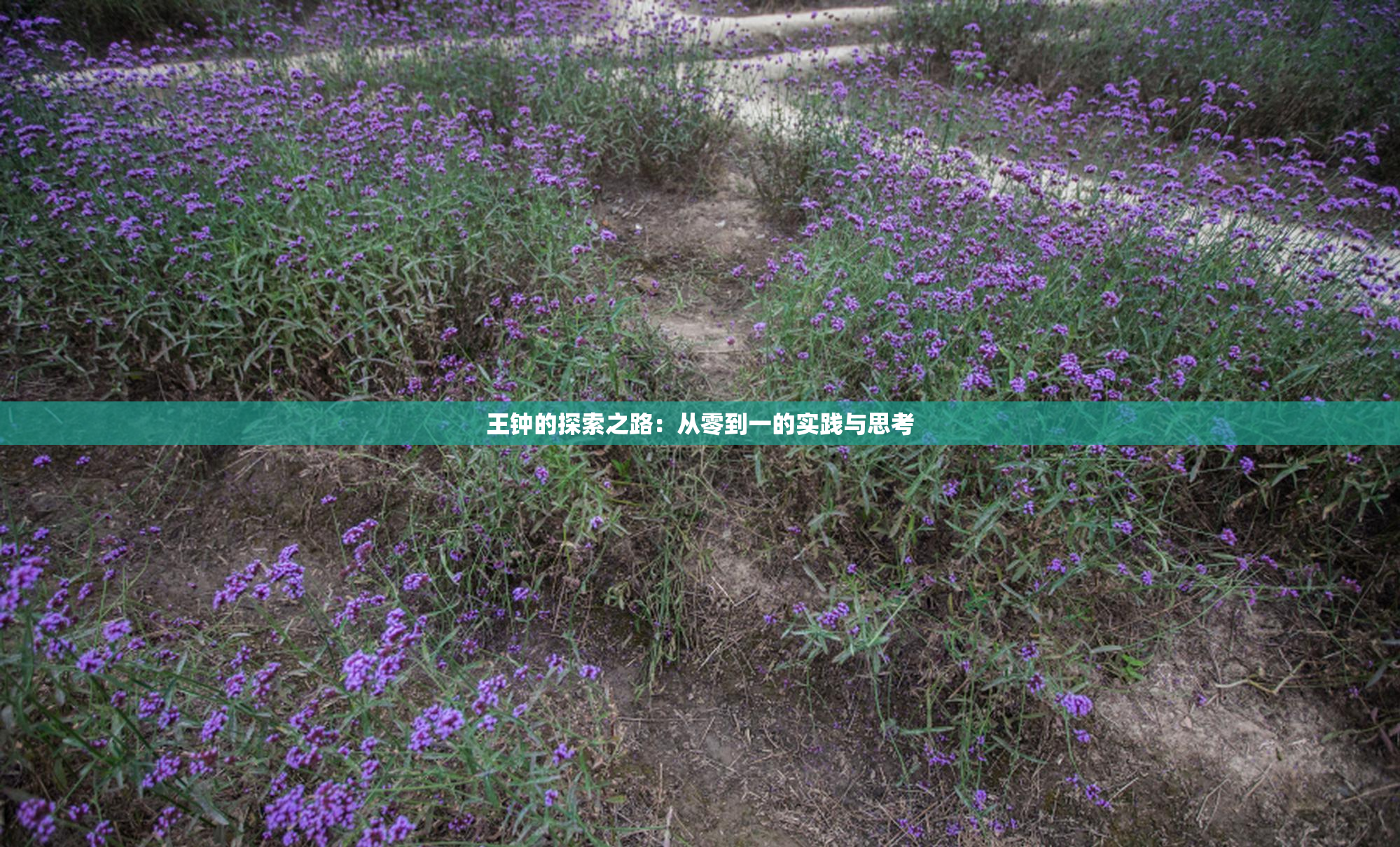 王钟的探索之路：从零到一的实践与思考