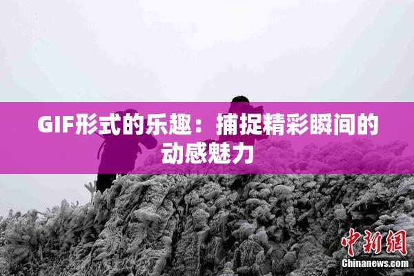 GIF形式的乐趣：捕捉精彩瞬间的动感魅力