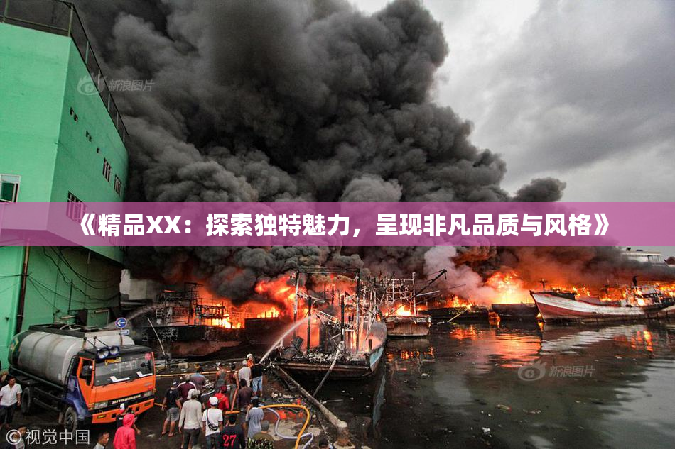 《精品XX：探索独特魅力，呈现非凡品质与风格》