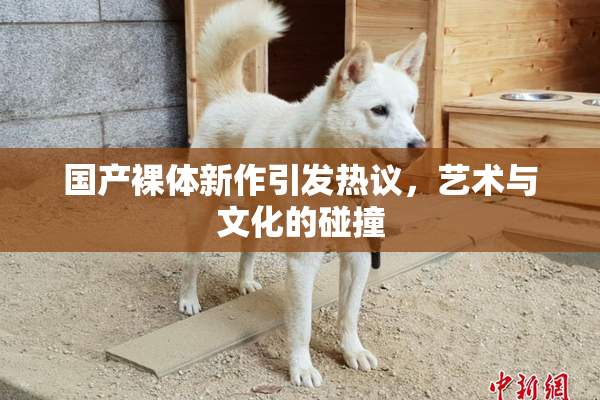 国产裸体新作引发热议，艺术与文化的碰撞