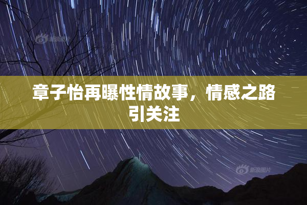 章子怡再曝性情故事，情感之路引关注