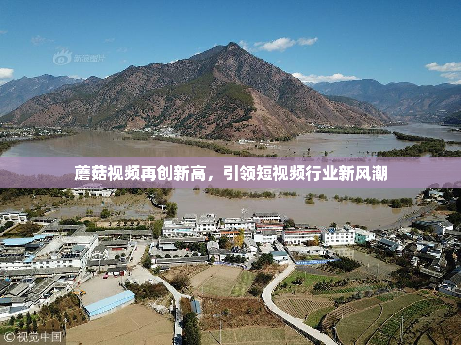 蘑菇视频再创新高，引领短视频行业新风潮
