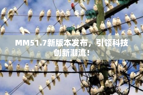 MM51.7新版本发布，引领科技创新潮流！