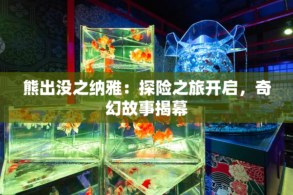 熊出没之纳雅：探险之旅开启，奇幻故事揭幕