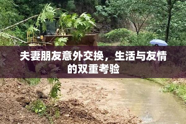 夫妻朋友意外交换，生活与友情的双重考验