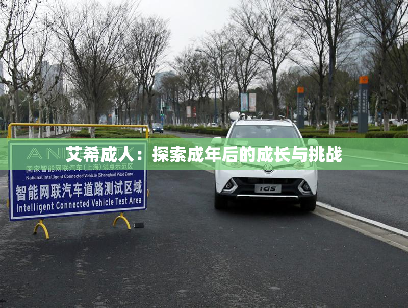 艾希成人：探索成年后的成长与挑战