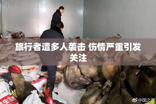 旅行者遭多人袭击 伤情严重引发关注