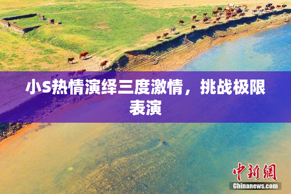 小S热情演绎三度激情，挑战极限表演
