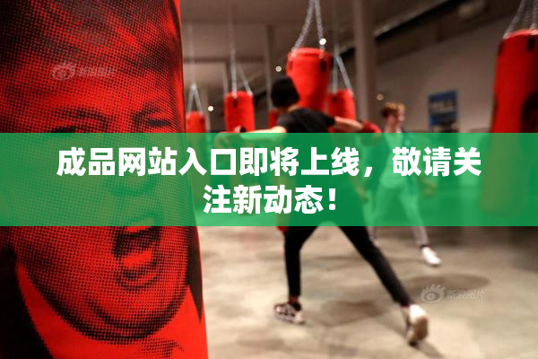 成品网站入口即将上线，敬请关注新动态！