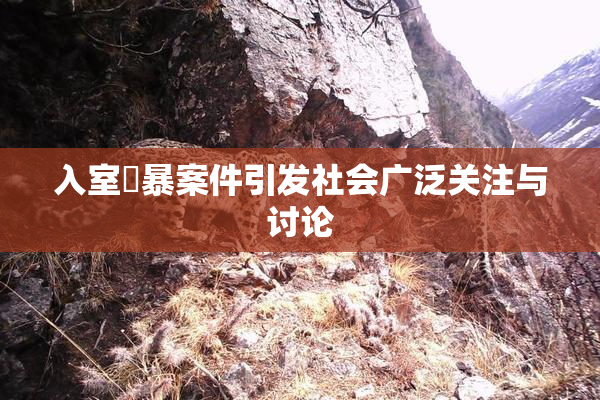入室強暴案件引发社会广泛关注与讨论