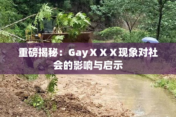 重磅揭秘：GayⅩⅩⅩ现象对社会的影响与启示
