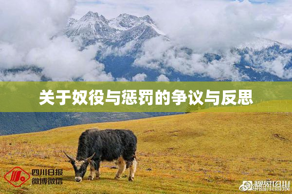 关于奴役与惩罚的争议与反思