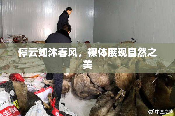 停云如沐春风，裸体展现自然之美