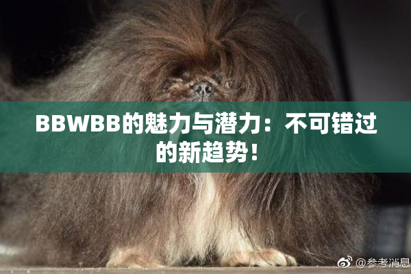 BBWBB的魅力与潜力：不可错过的新趋势！