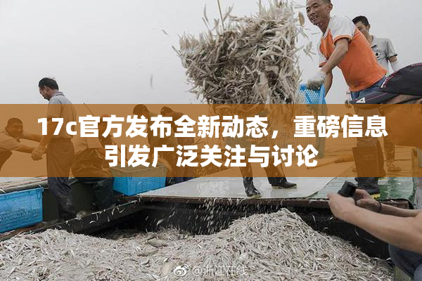 17c官方发布全新动态，重磅信息引发广泛关注与讨论