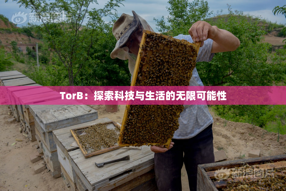 TorB：探索科技与生活的无限可能性