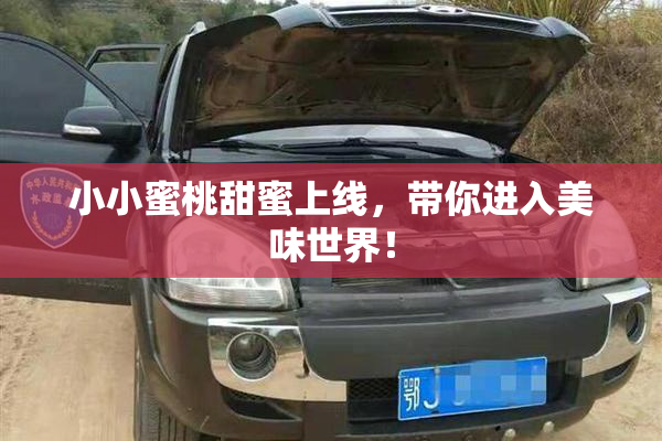 小小蜜桃甜蜜上线，带你进入美味世界！