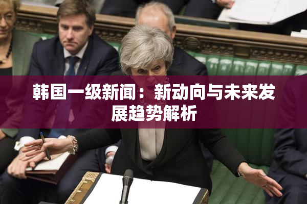 韩国一级新闻：新动向与未来发展趋势解析