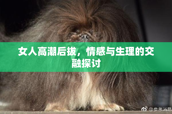 女人高潮后拔，情感与生理的交融探讨