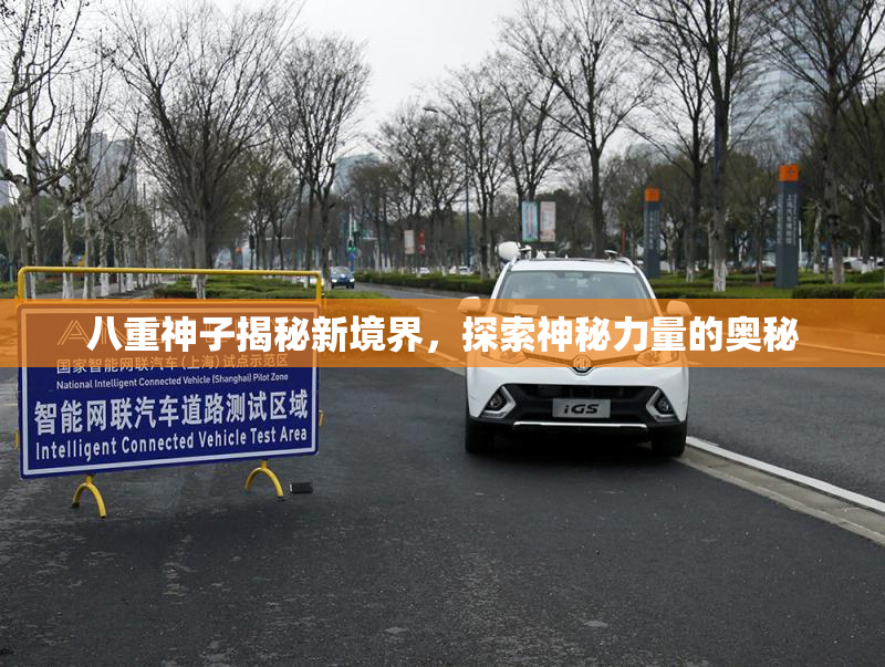 八重神子揭秘新境界，探索神秘力量的奥秘