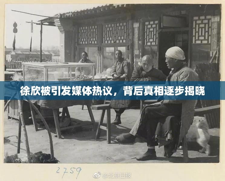 徐欣被引发媒体热议，背后真相逐步揭晓