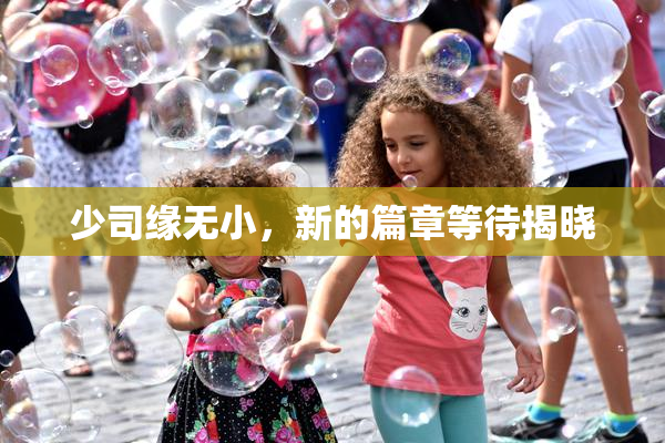 少司缘无小，新的篇章等待揭晓