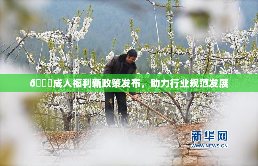 🔞成人福利新政策发布，助力行业规范发展