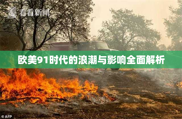 欧美91时代的浪潮与影响全面解析