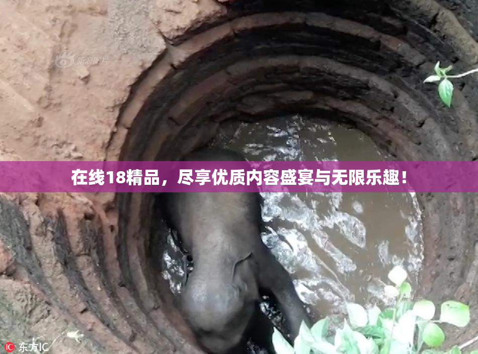在线18精品，尽享优质内容盛宴与无限乐趣！