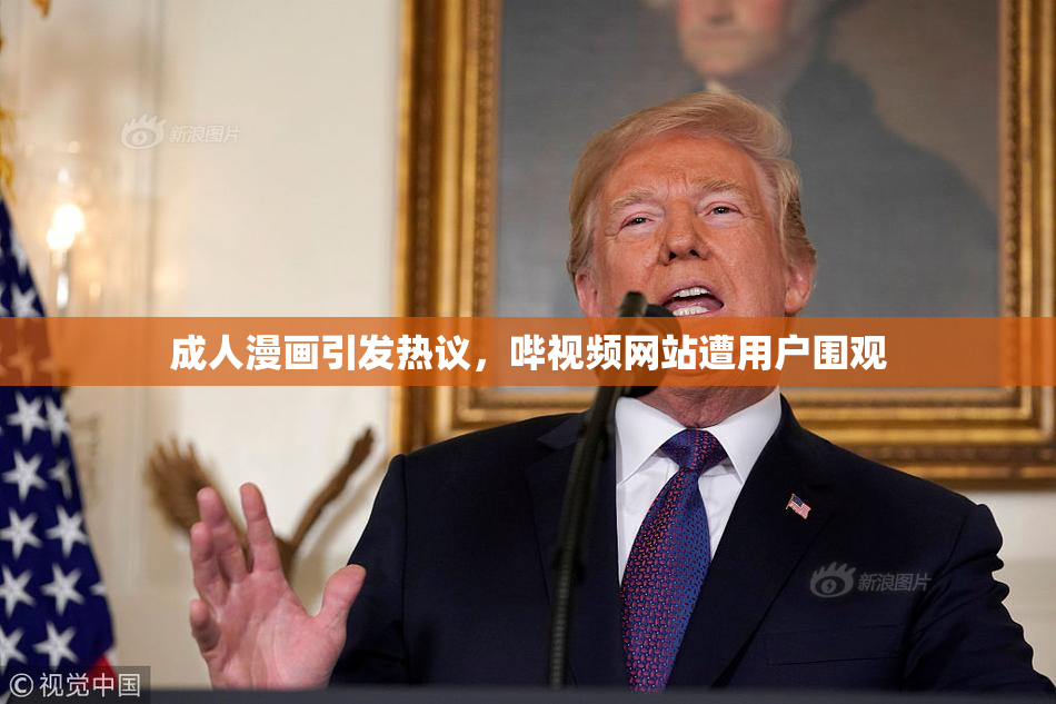 成人漫画引发热议，哔视频网站遭用户围观