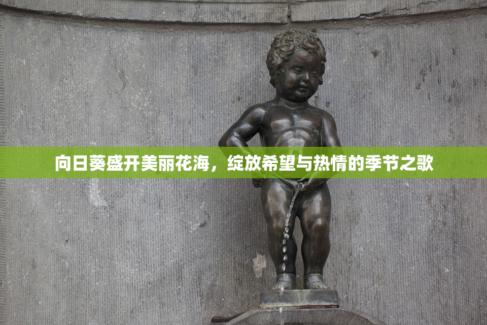 向日葵盛开美丽花海，绽放希望与热情的季节之歌