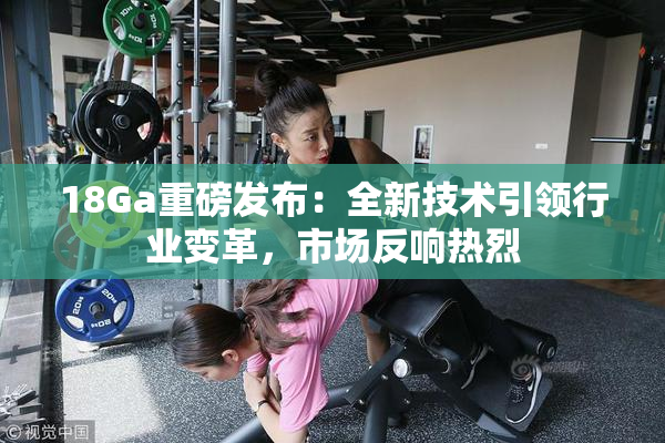18Ga重磅发布：全新技术引领行业变革，市场反响热烈
