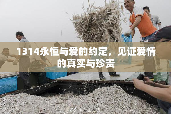 1314永恒与爱的约定，见证爱情的真实与珍贵