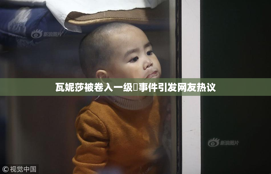 瓦妮莎被卷入一级婬事件引发网友热议