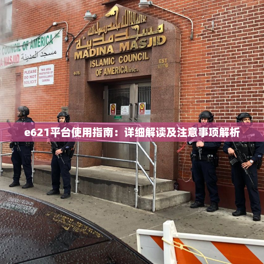 e621平台使用指南：详细解读及注意事项解析