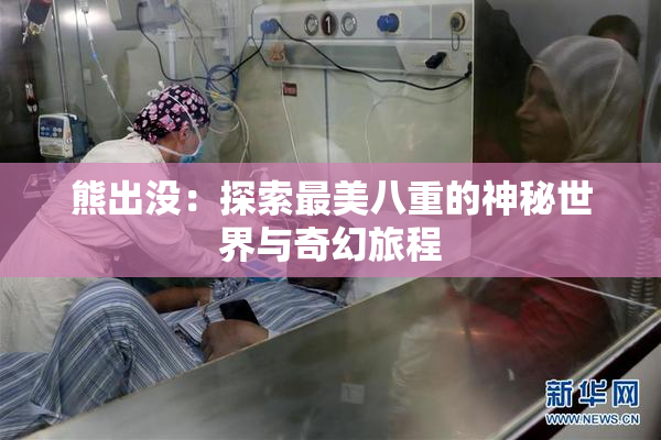 熊出没：探索最美八重的神秘世界与奇幻旅程