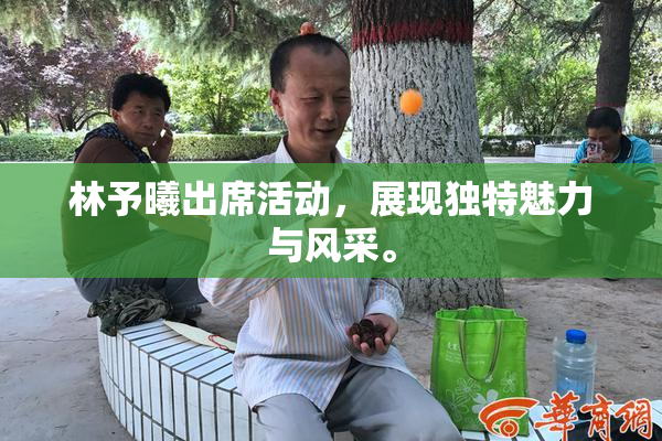 林予曦出席活动，展现独特魅力与风采。