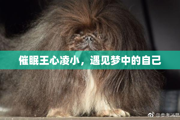 催眠王心凌小，遇见梦中的自己