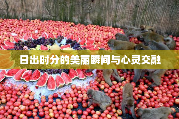日出时分的美丽瞬间与心灵交融
