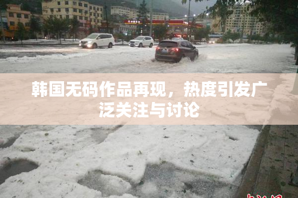 韩国无码作品再现，热度引发广泛关注与讨论