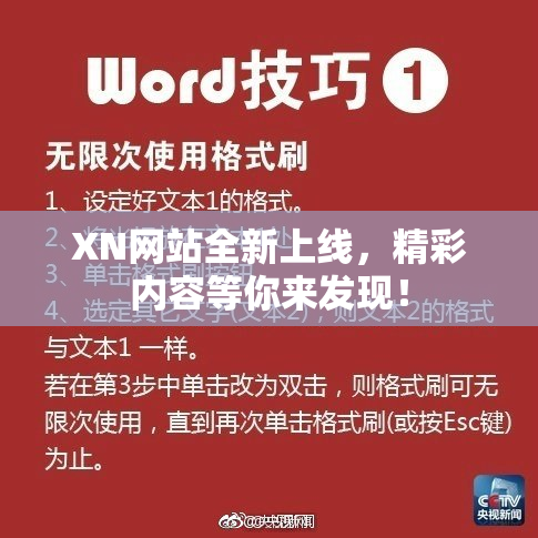 XN网站全新上线，精彩内容等你来发现！