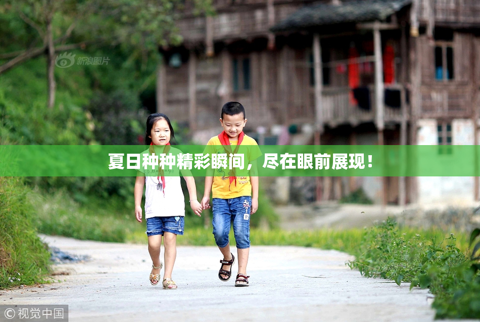 夏日种种精彩瞬间，尽在眼前展现！