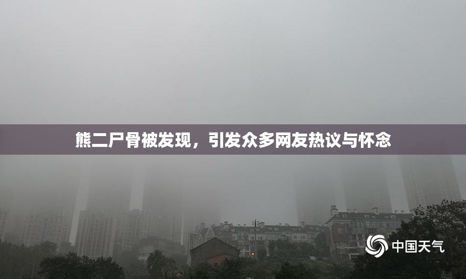 熊二尸骨被发现，引发众多网友热议与怀念