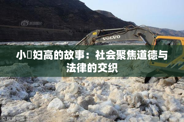 小婬妇高的故事：社会聚焦道德与法律的交织