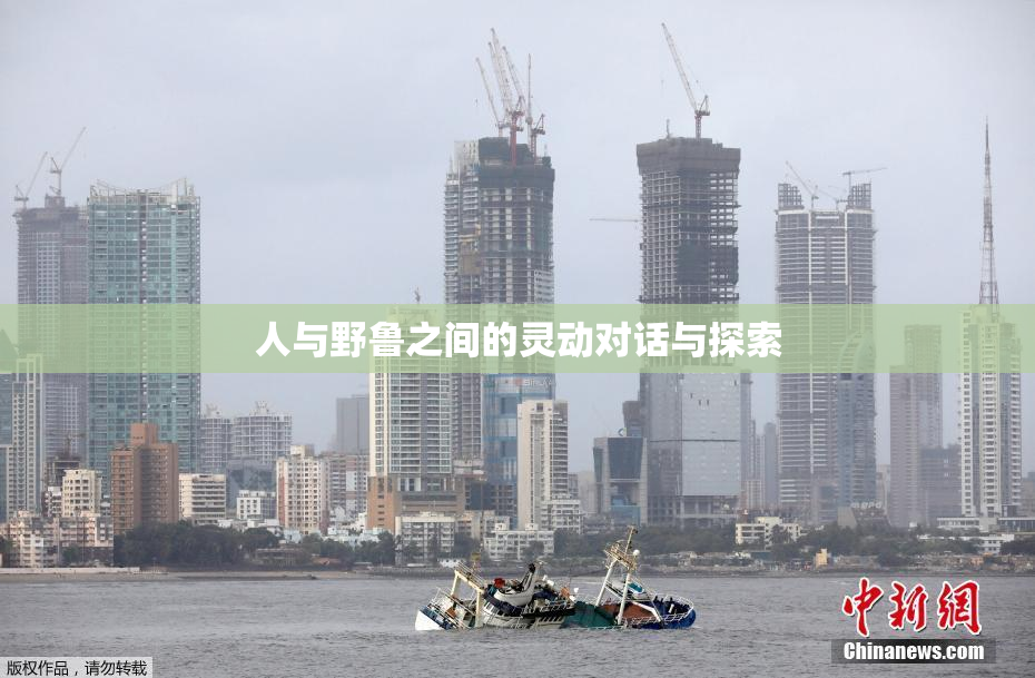 人与野鲁之间的灵动对话与探索