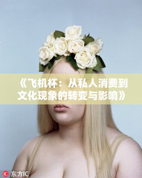 《飞机杯：从私人消费到文化现象的转变与影响》