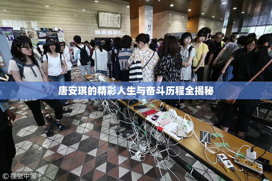 唐安琪的精彩人生与奋斗历程全揭秘
