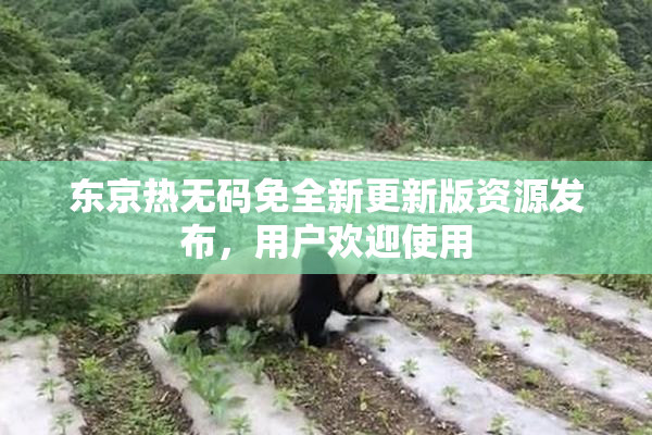 东京热无码免全新更新版资源发布，用户欢迎使用
