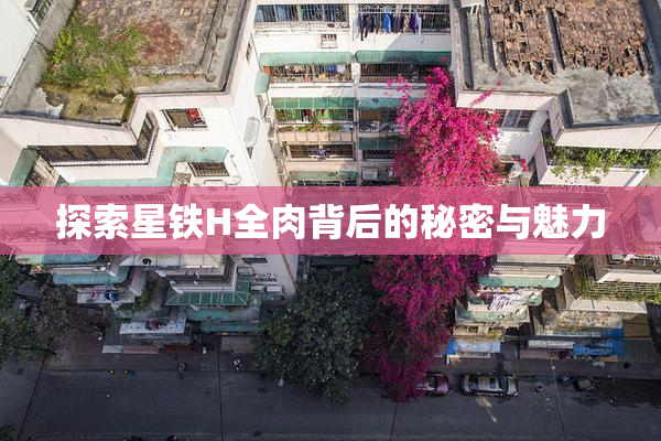 探索星铁H全肉背后的秘密与魅力