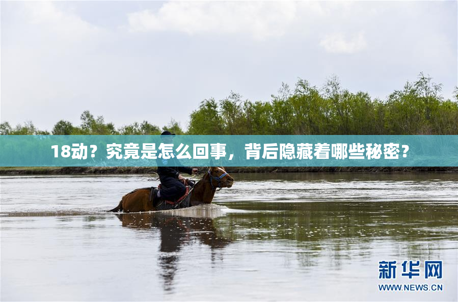 18动？究竟是怎么回事，背后隐藏着哪些秘密？